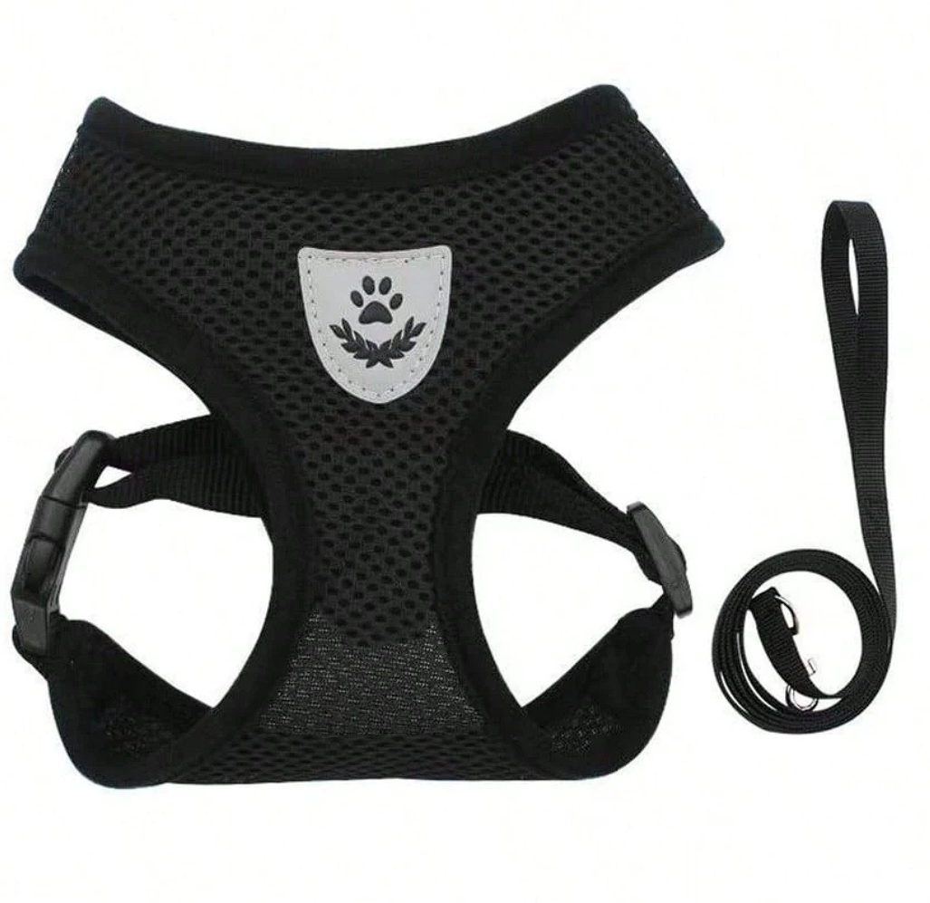 Leash Set with Adjustable Anti-Escape Chest & Back Straps, Black