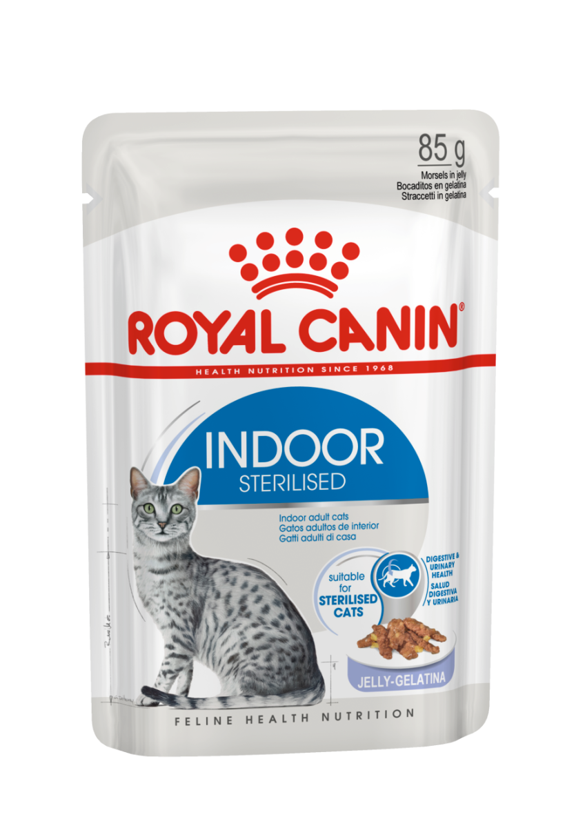 Royal Canin Indoor Jelly (Wet Food - Pouches) 12 X 85G