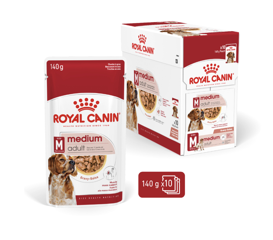 Royal Canin Wet Food Chunks in Gravy for Medium Breed Adult Dogs 12+ Months & 11-25kg, 10x140g