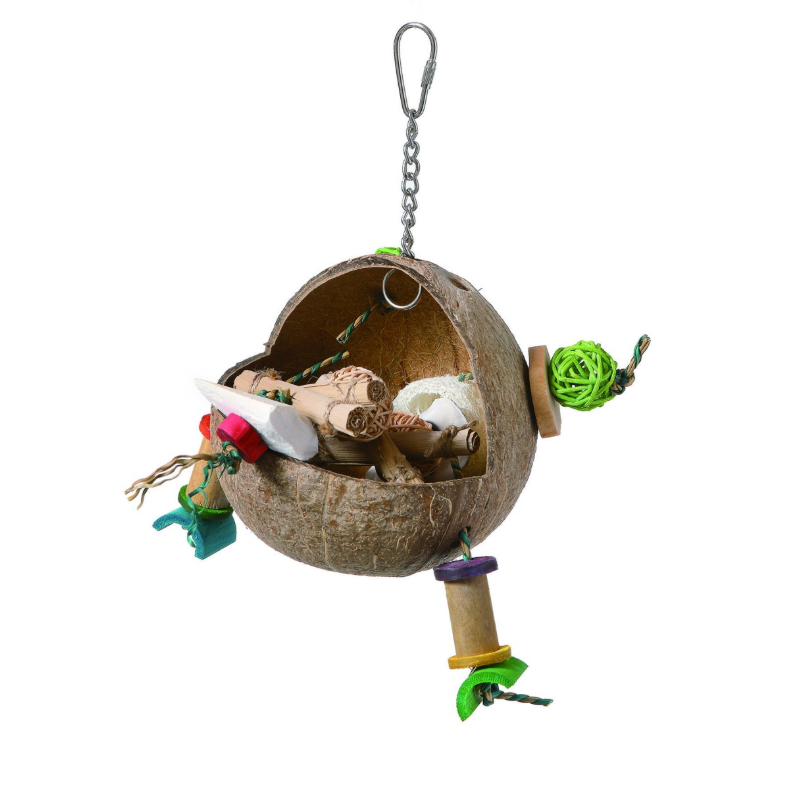 Coco Frog Foraging Toy