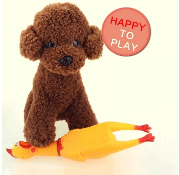 Chew Toy- Medium