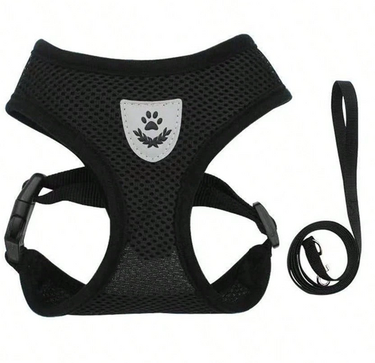 Leash Set with Adjustable Anti-Escape Chest & Back Straps, Black