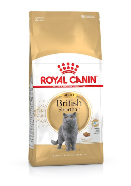 Royal Canin Nutrition British Shorthair Adult 4 KG