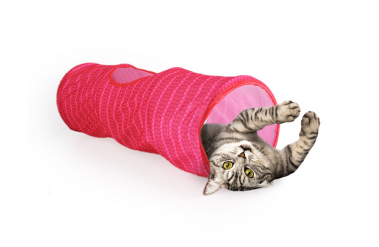 Modern Cat Tunnel - Pink