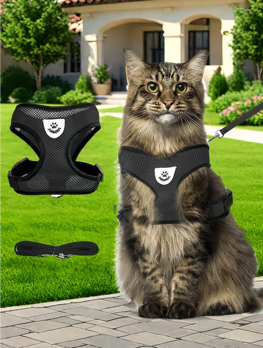 Escape Proof Black Cat Harness & Leash Set, Small
