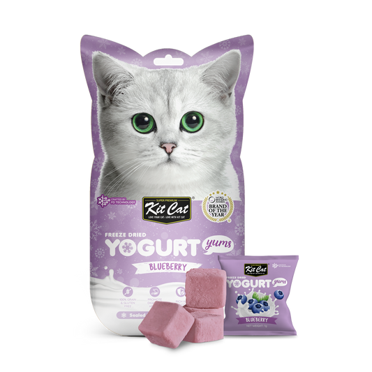 Kit Cat Freeze Dried Yogurt Yums Blueberry, 10g