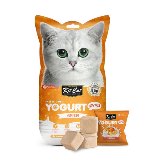 Kit Cat Freeze Dried Yogurt Yums Pumpkin, 10g