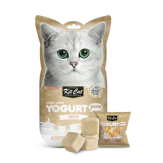 Kit Cat Freeze Dried Yogurt Yums Cheese, 10g