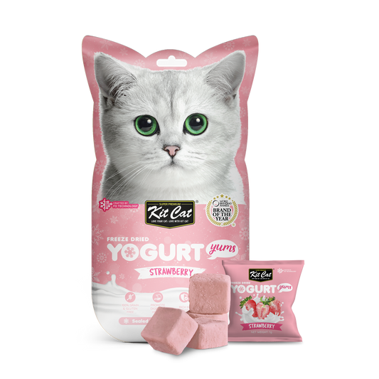 Kit Cat Freeze Dried Yogurt Yums Strawberry, 10g