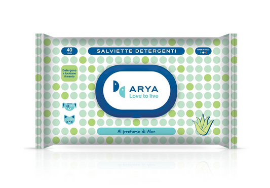 ARYA Wet Wipes Aloe