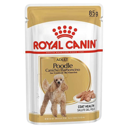 Royal Canin Breed Health Nutrition Wet Dog Food for Adult Poodle Barboncino, 85g
