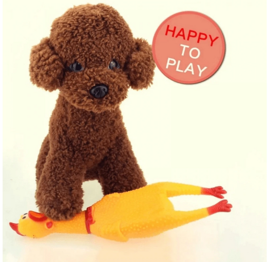 Chew Toy- Medium