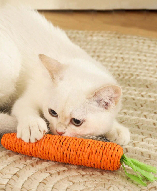 Cat Toy Pet Chew Toy- Orange (Medium )- 1pc
