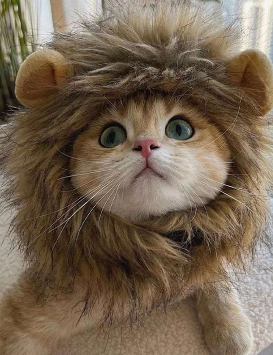 Lion Mane Pet Costume Headwear (Large)