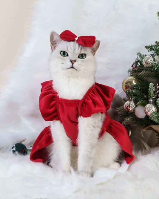Printed Dress + Bow Tie Pet Clothing Set( Large)