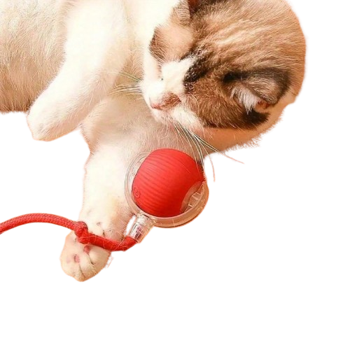 Cat Interactive Self-Moving Ball Toy, Red