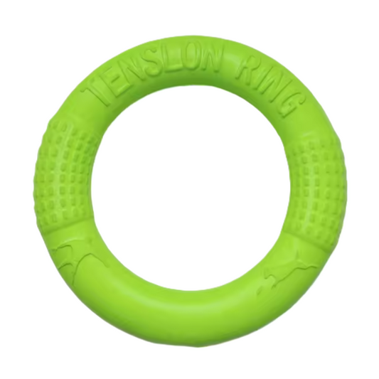 Flying Disc Dog Toy, Green