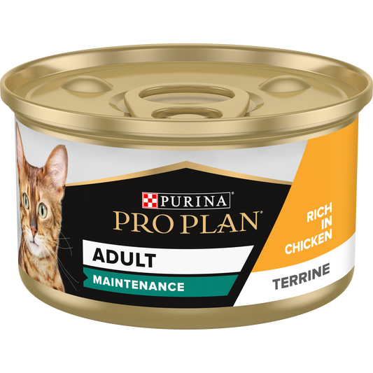 Purina Pro Plan Adult Maintenance Wet Cat Food Terrine with Chicken, 85g