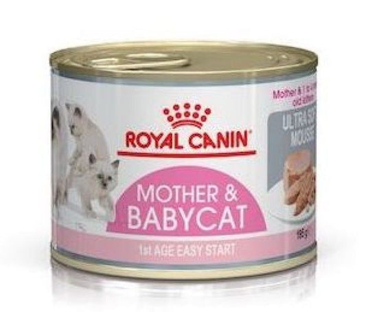 Royal Canin Mother & Babycat Mousse (Wet Food - Cans) 12 X 195G