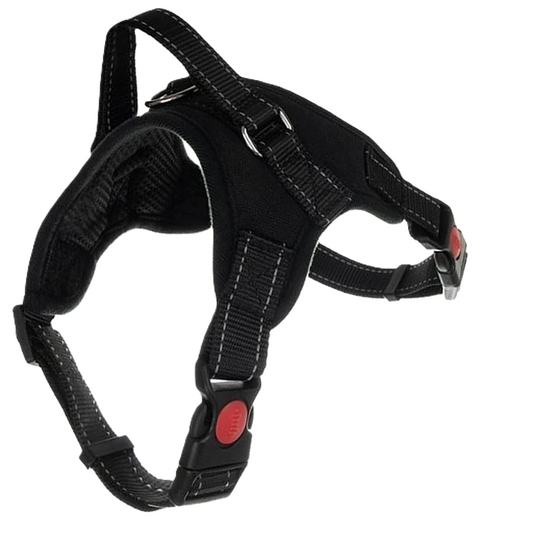 Dog Chest & Neck Leash with Bone Design, Suitable for Medium-Large Pets, Black