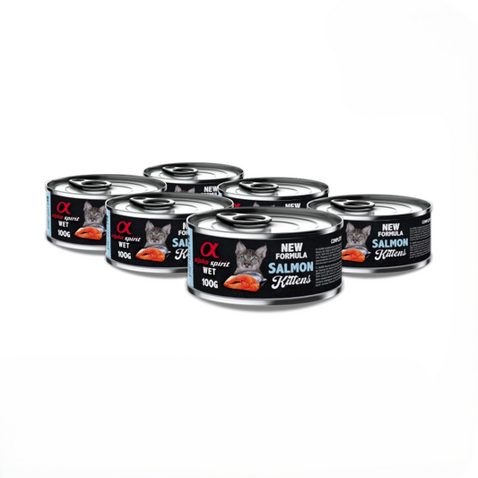 Alpha Spirit Salmon Wet Kittens Food, 6x100g